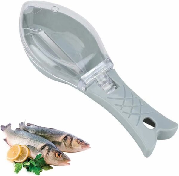 Fish Scale - Image 3