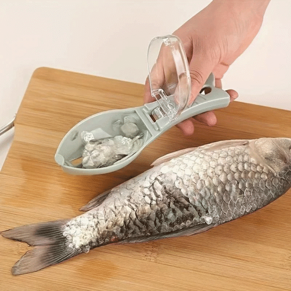 Fish Scale - Image 4