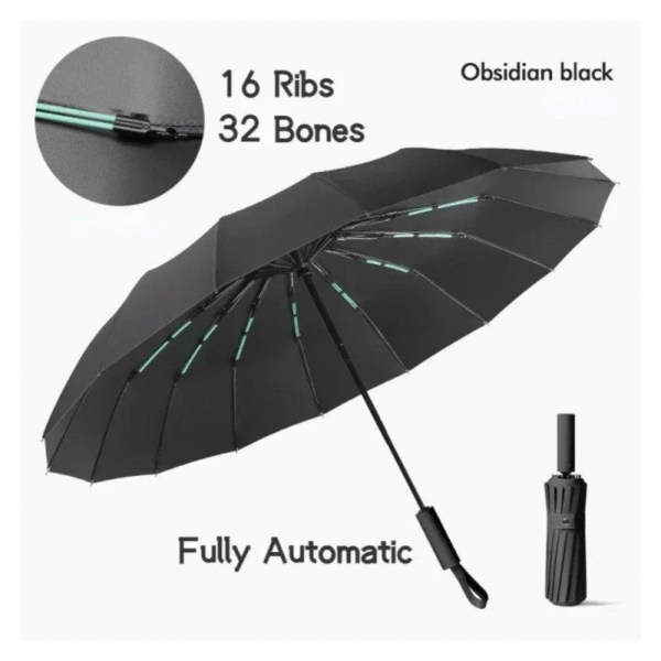 Premium Auto-Open 16 Ribs Wind Resistant Umbrella (Black) - Image 2
